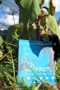 the womans book of dreams